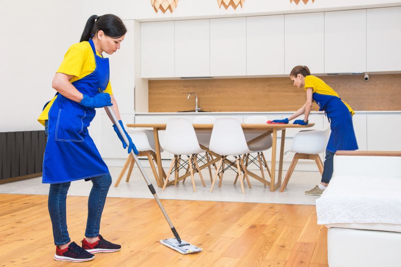 Kitchen Cleaning in Frisco, TX