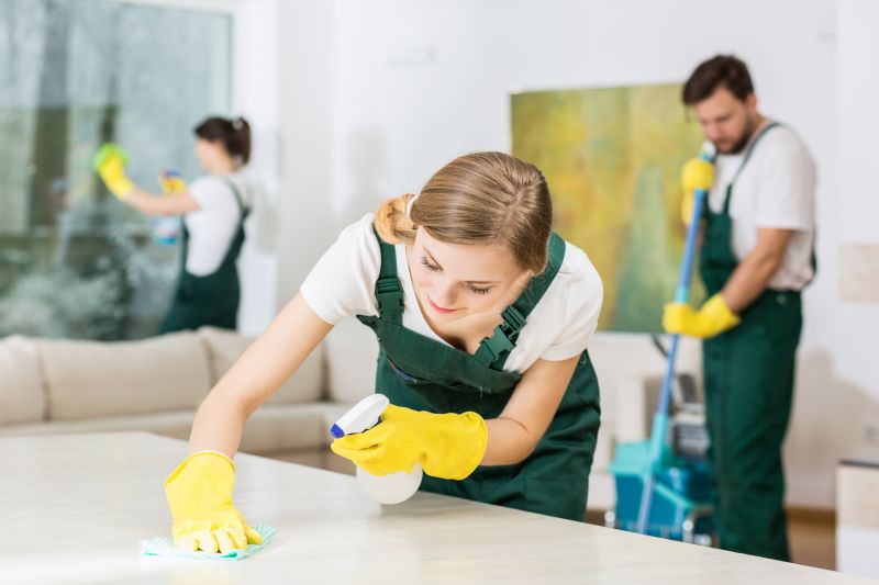 Move In Cleaning Service in Boerne, TX